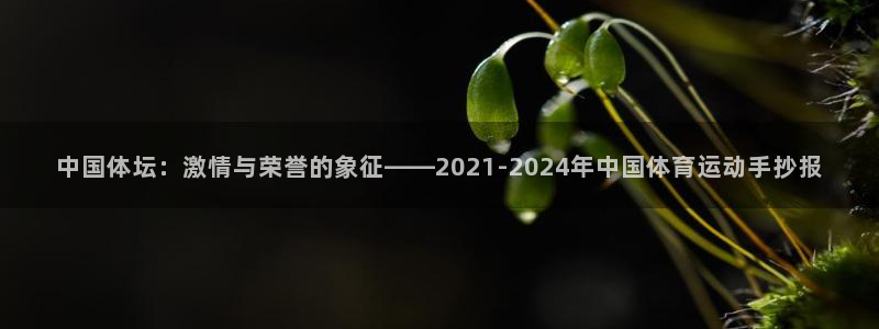 MK体育官网下载娱乐:中国体坛:激情与荣誉的象征——2021