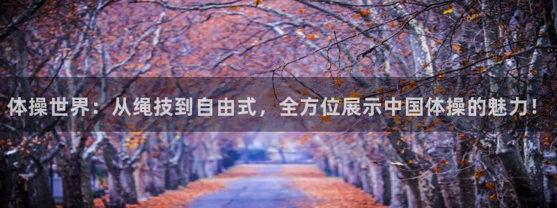 MK体育官网下载招商电话是多少号码:体操世界:从绳技到自由式